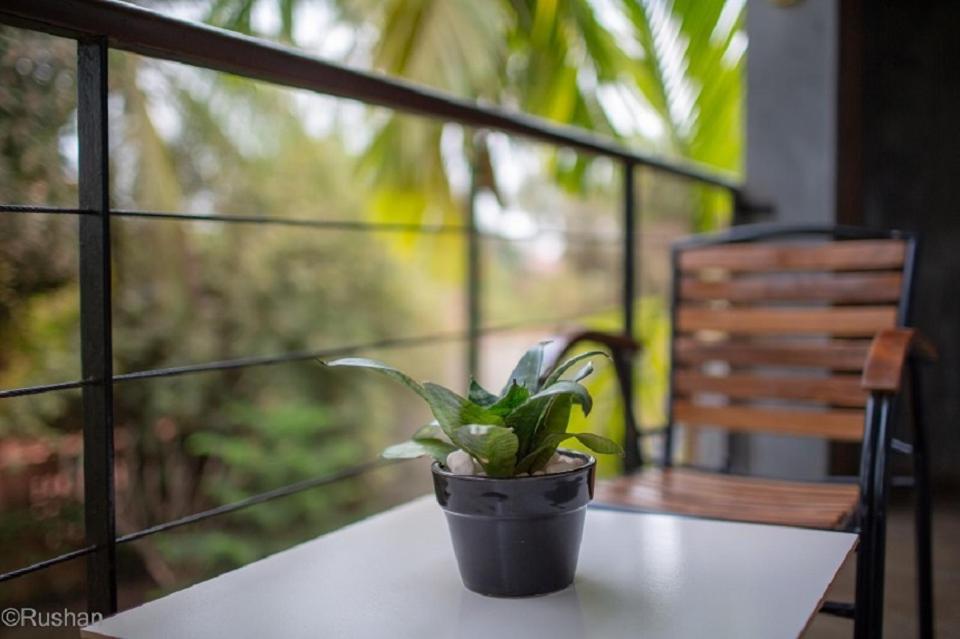 Apsara Greenland Boutique Hotel Σιέμ Ρέαπ Εξωτερικό φωτογραφία